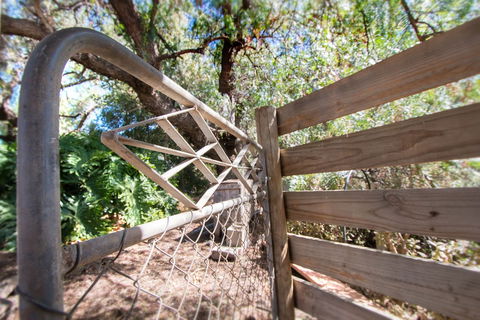 Old Swanport General Store - Lennox Head Accommodation 1