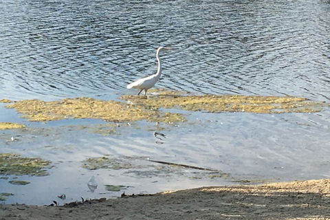 Lovely House - Lennox Head Accommodation 1