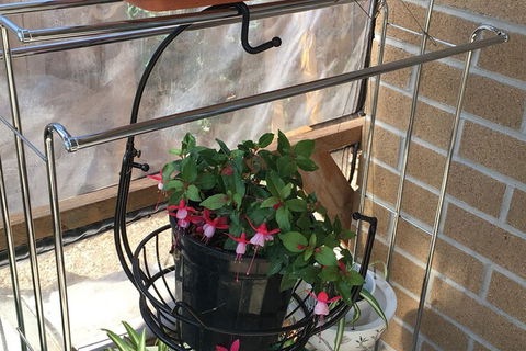 Lovely House - Lennox Head Accommodation 7