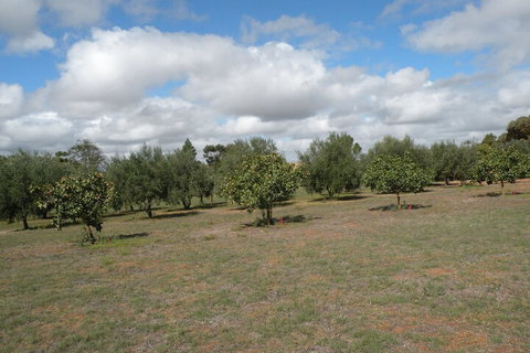 Thalia Getaway Villa - Lennox Head Accommodation 2