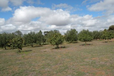 Thalia Getaway Villa - Lennox Head Accommodation 3