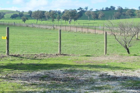Yea Cabin Bunkhouse - Lennox Head Accommodation 2