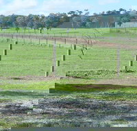 Yea Woodduck Cottage - Lennox Head Accommodation