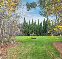 Orchards at Spring Vale Farm - Lennox Head Accommodation