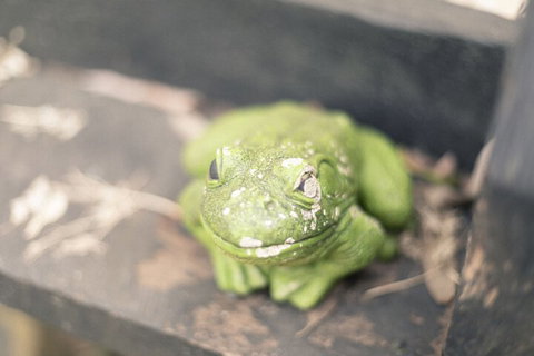 Shakespearean Inspired Holiday Resort - Lennox Head Accommodation 2