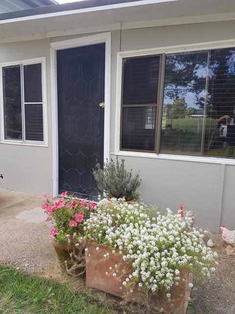 Happy Pig Farm - Lennox Head Accommodation 2