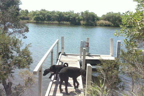 River Cottage Eagle Point - Lennox Head Accommodation 2