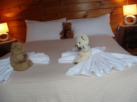 Boat Harbour Garden Cottages - Lennox Head Accommodation 3
