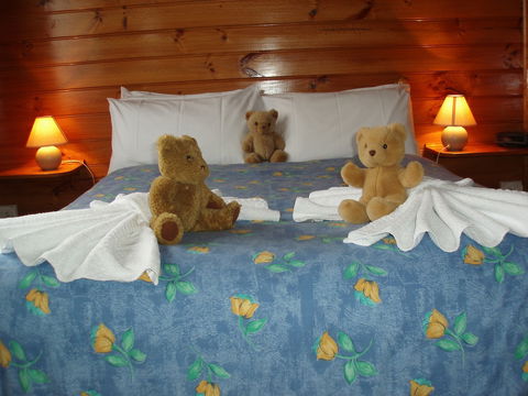 Boat Harbour Garden Cottages - Lennox Head Accommodation 5
