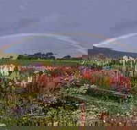 Boat Harbour Garden Cottages - Lennox Head Accommodation