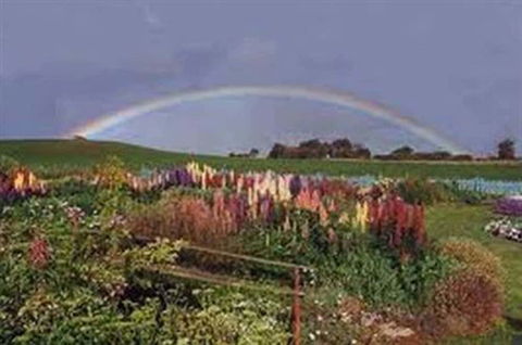 Boat Harbour Garden Cottages - Lennox Head Accommodation 0