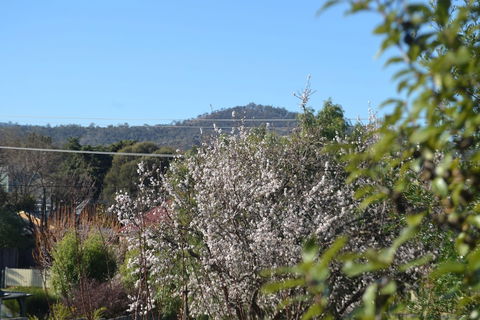 Mulberry Cottage B&B - Lennox Head Accommodation 5