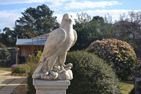 Mulberry Cottage B&B - Lennox Head Accommodation 4