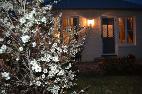 Mulberry Cottage B&B - Lennox Head Accommodation 6