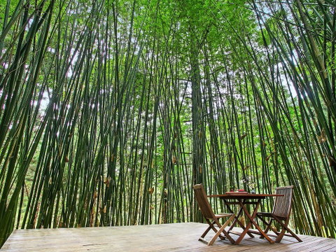Azabu Boutique Accommodation Byron Bay - Lennox Head Accommodation 0
