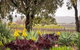 Linger Longer Vineyard Bed & Breakfast - thumb 2