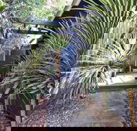 Lornebeach Apartments - Lennox Head Accommodation