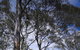 Rocky Hills Retreat - thumb 7