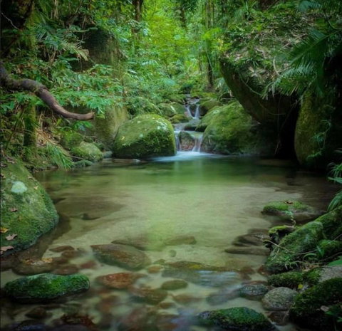 Treetops Retreat Cairns - Lennox Head Accommodation 7