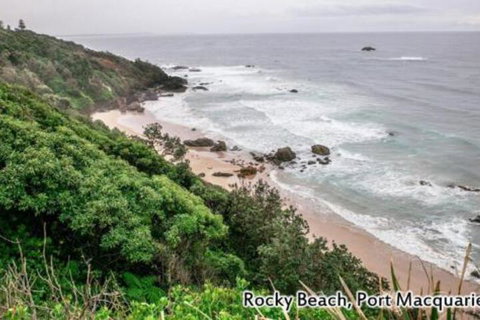 Breakers 2 2 Hill Street - Lennox Head Accommodation 7