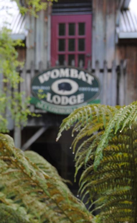 The Wombat Cottage - Lennox Head Accommodation 1