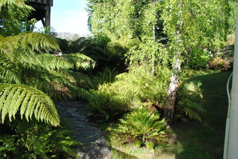 The Wombat Cottage - Lennox Head Accommodation 4
