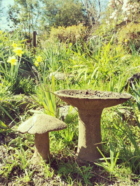 Lake House Benalla - Lennox Head Accommodation 6