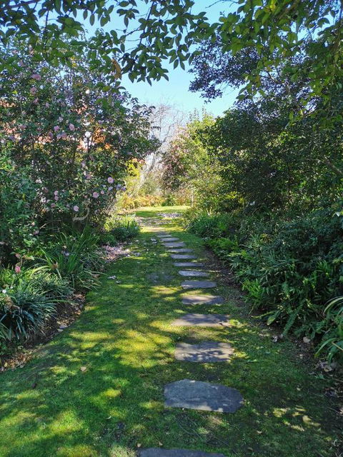 Lake House Benalla - Lennox Head Accommodation 1