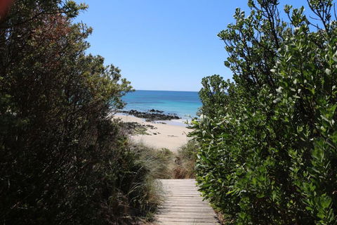 Sisters Beach Paradise - Lennox Head Accommodation 2
