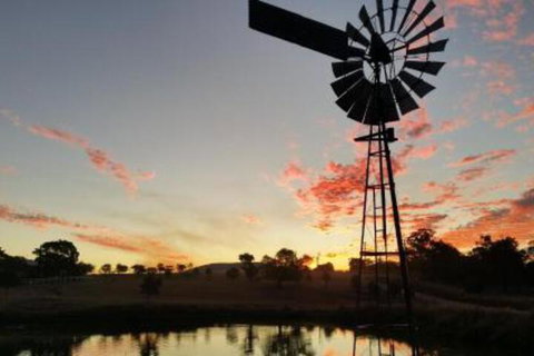 Milford Country Cottages - Lennox Head Accommodation 3