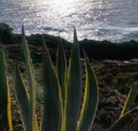 Ven  Marks Place - Lennox Head Accommodation