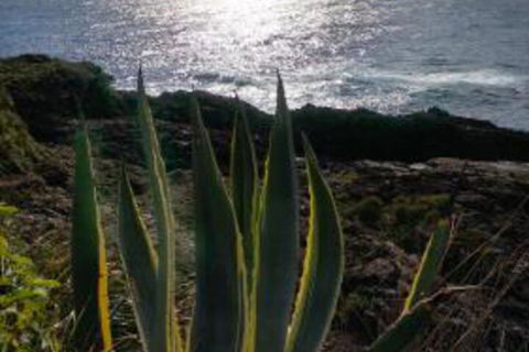 Ven & Marks Place - Lennox Head Accommodation 0