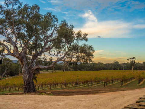 Shadow Creek McLaren Vale - Lennox Head Accommodation 3