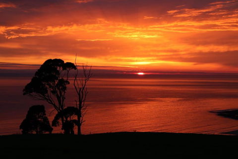 Penguin Seaside Farm - Lennox Head Accommodation 2