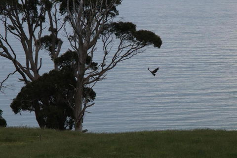 Penguin Seaside Farm - Lennox Head Accommodation 6