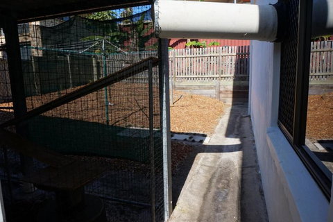 2 29 Rumbalara Avenue Rainbow Beach Bring Your Dog Or Your Cat Or Bring Both Free Wi Fi - Lennox Head Accommodation 5