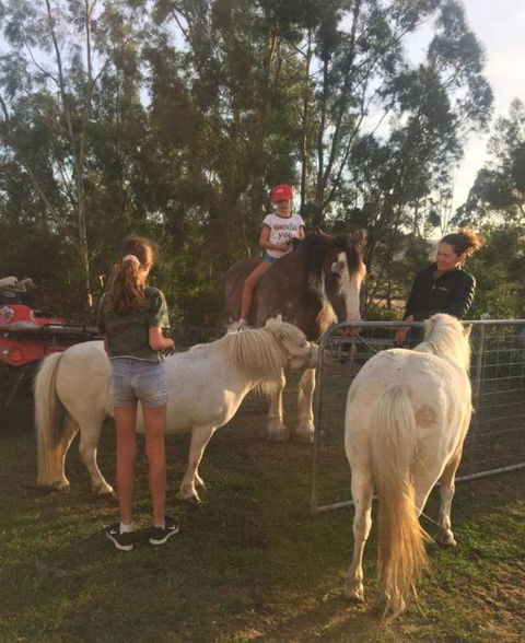 Glamping Gypsy Hobart - Lennox Head Accommodation 5