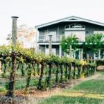 Mortimers Wines The Canopy Loft - Lennox Head Accommodation 1