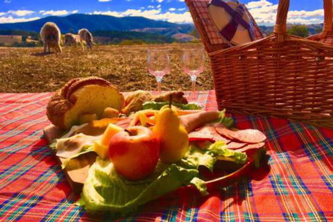 Country Budget - Lennox Head Accommodation 3