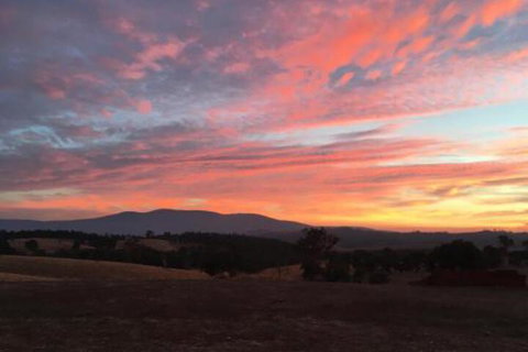 Country Budget - Lennox Head Accommodation 6