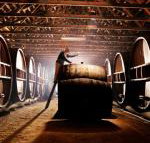 Pieter van Gent Winery  Vineyard - Lennox Head Accommodation