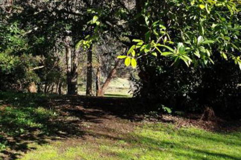 Redruth 2 Bedroom Cottage Situated In Wandiligong - Lennox Head Accommodation 4