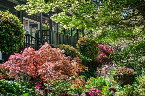 Magnolias On Mernda - Lennox Head Accommodation 6