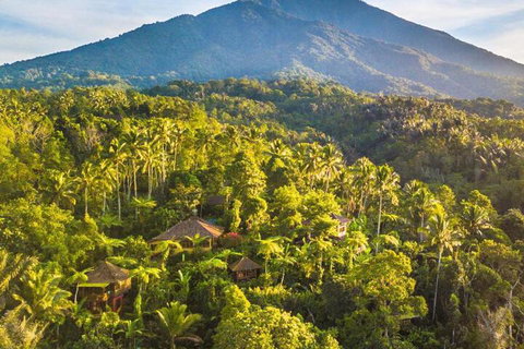 Ibis Wollongong - Lennox Head Accommodation 1