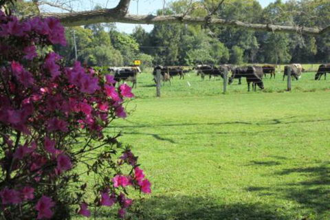 Greenfields - Lennox Head Accommodation 2