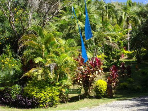 Koompartoo Homestead Cabin - Lennox Head Accommodation 4