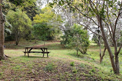 Stonehouse Farm Glamping - Lennox Head Accommodation 1