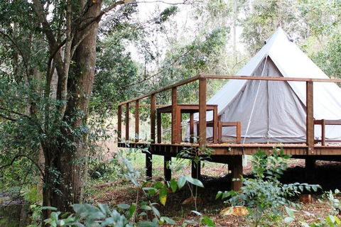 Stonehouse Farm Glamping - Lennox Head Accommodation 5
