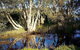 Wisteria Cottage On The Lagoon / Beach - thumb 4