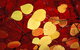 Wisteria Cottage On The Lagoon / Beach - thumb 3